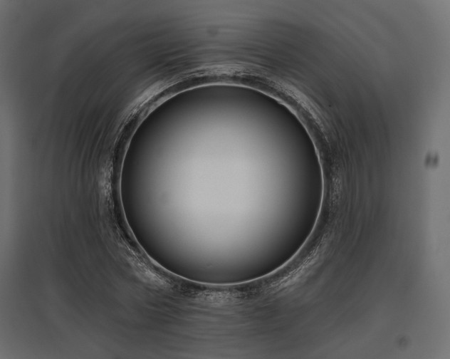 X0000097770778200803071316