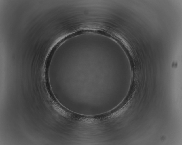 X0000097770779200803071316
