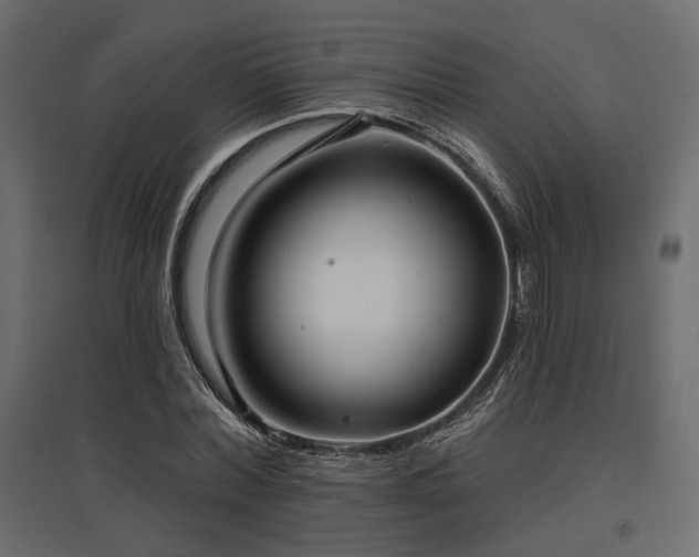 X0000097770780200803071316