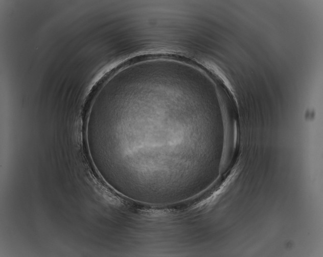 X0000097770781200803071316