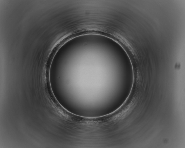 X0000097770782200803071316