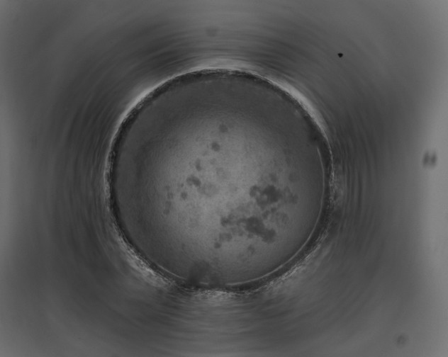 X0000097770783200803071316