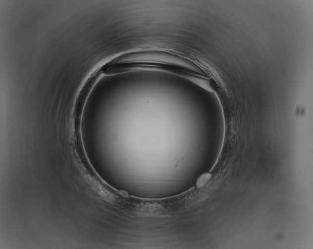 X0000097770784200803071316