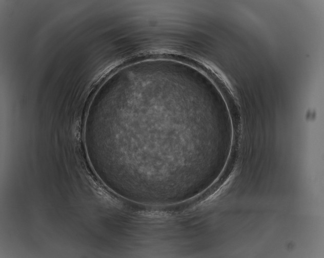 X0000097770785200803071316
