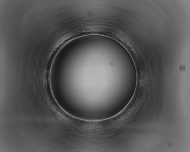 X0000097770786200803071316