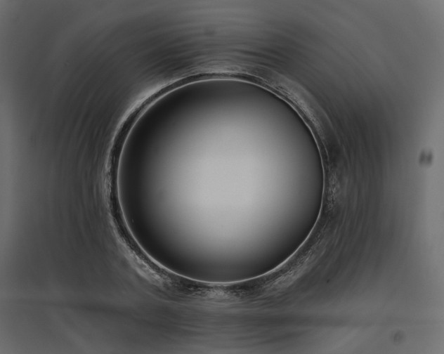 X0000097770787200803071316