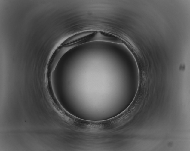 X0000097770788200803071316