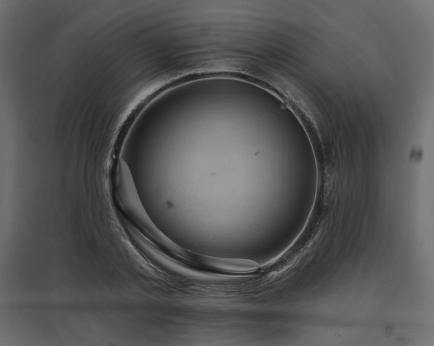 X0000097770789200803071316