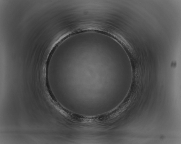 X0000097770790200803071316