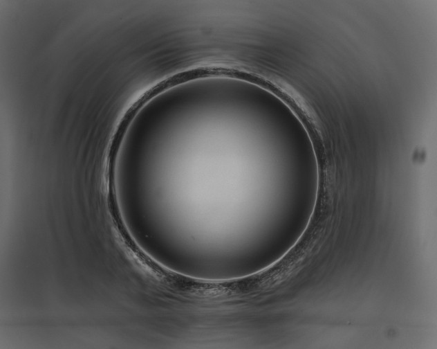 X0000097770791200803071316