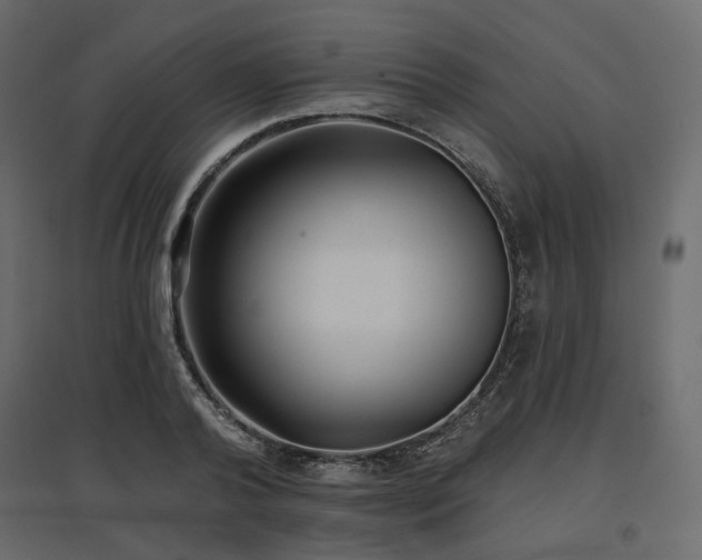 X0000097770792200803071316