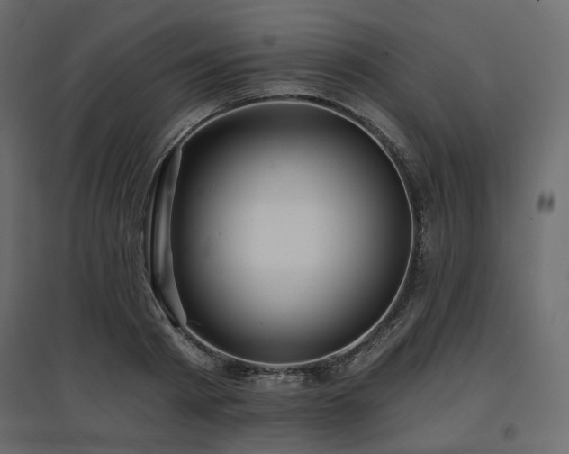 X0000097770793200803071316