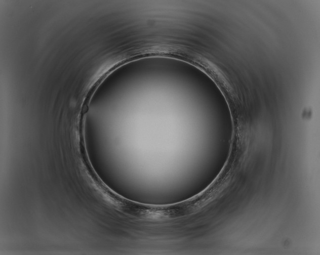 X0000097770794200803071316