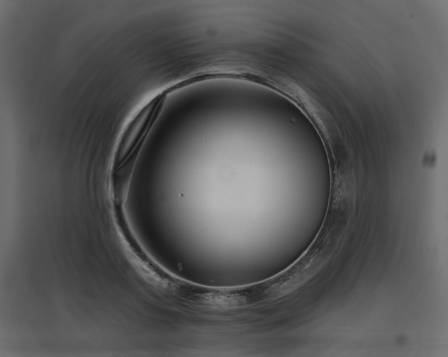 X0000097770795200803071316