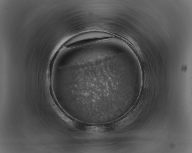 X0000097770796200803071316
