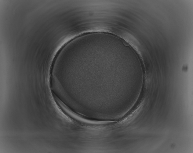 X0000097770797200803071316