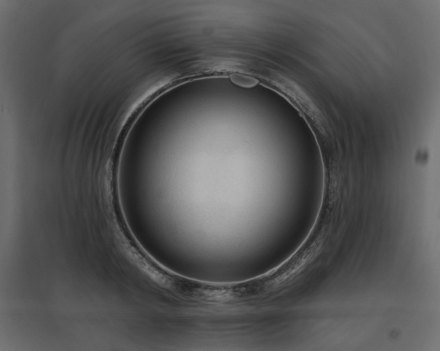 X0000097770798200803071316