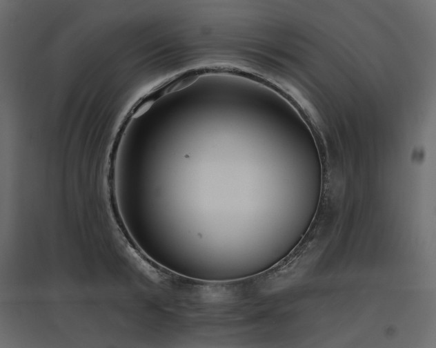 X0000097770799200803071316