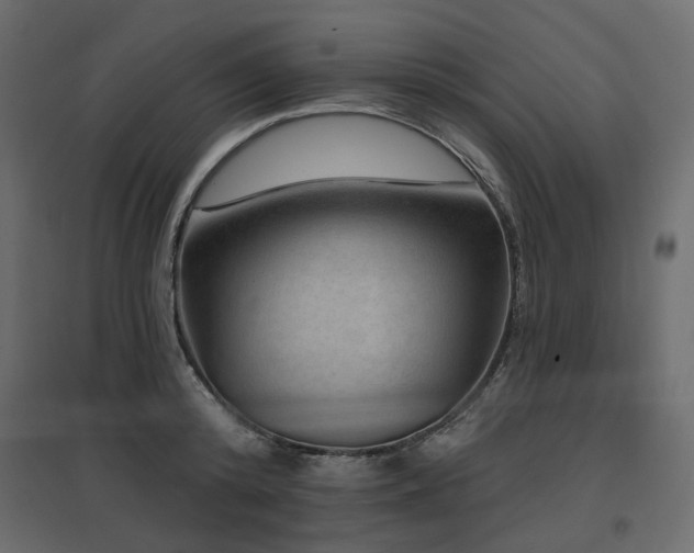 X0000097770800200803071316
