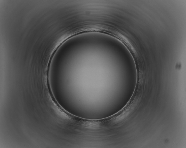 X0000097770802200803071316