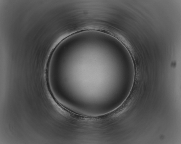 X0000097770803200803071316