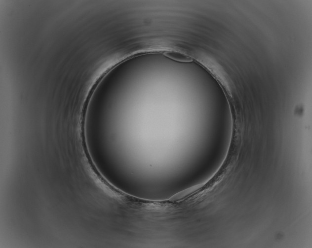 X0000097770805200803071316