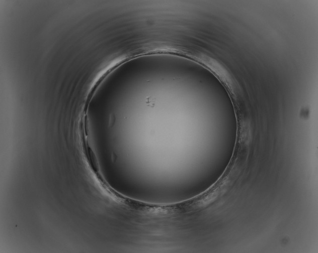 X0000097770806200803071316