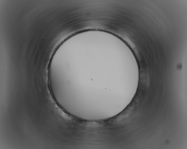 X0000097770807200803071316