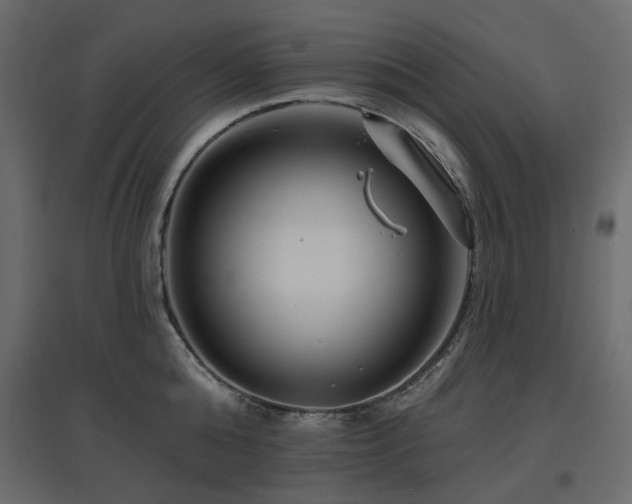 X0000097770808200803071316