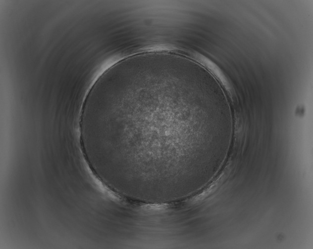 X0000097770810200803071316