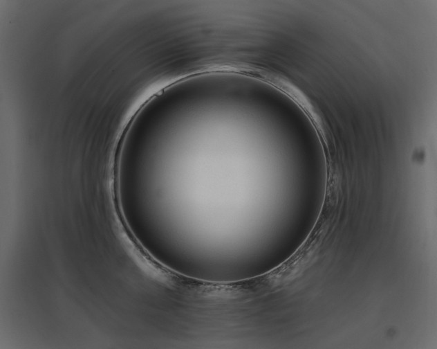 X0000097770811200803071316