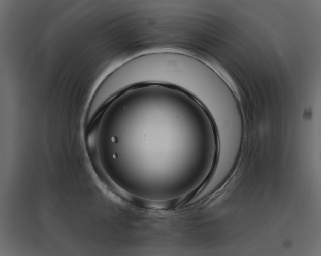 X0000097770813200803071316