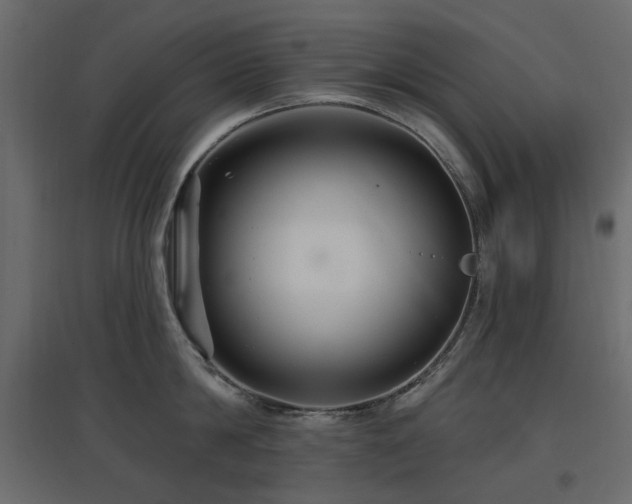 X0000097770814200803071316