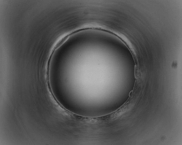 X0000097770815200803071316