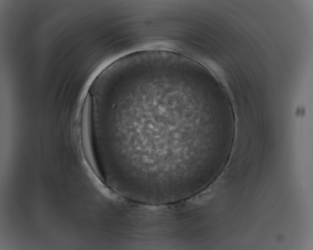 X0000097770816200803071316