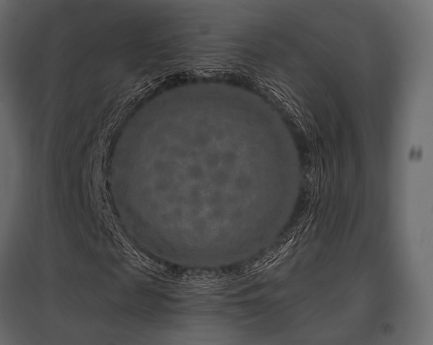X0000097770817200803071315