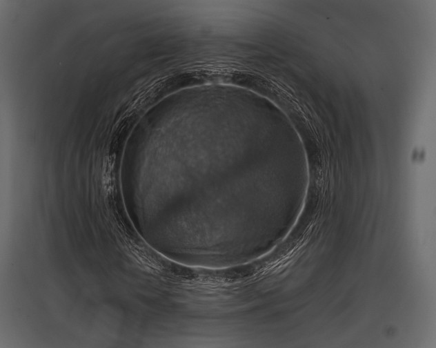 X0000097770818200803071315