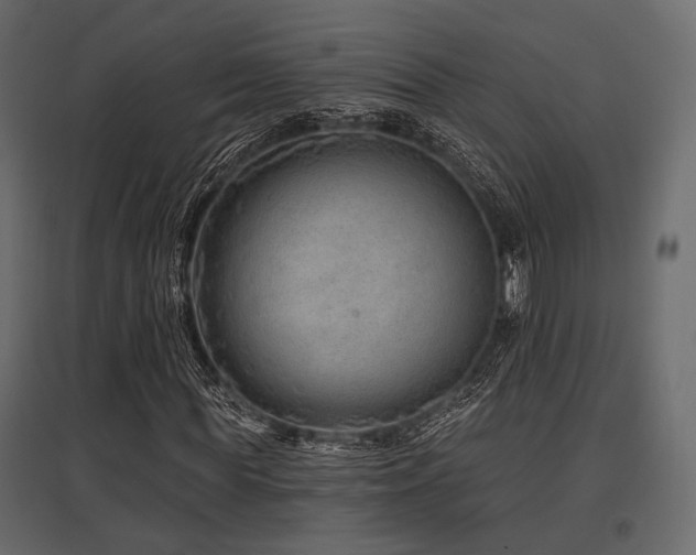 X0000097770819200803071315