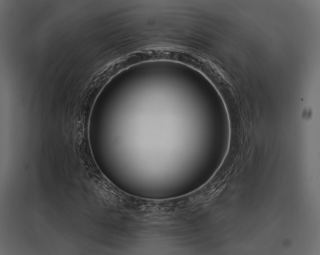 X0000097770821200803071315