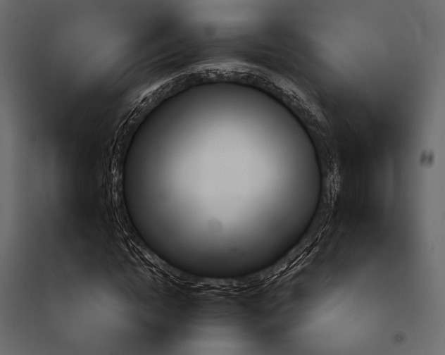 X0000097770822200803071315