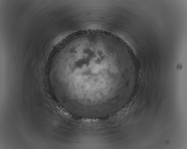 X0000097770823200803071315