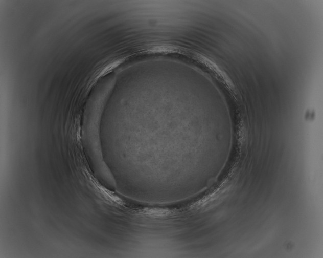 X0000097770825200803071315