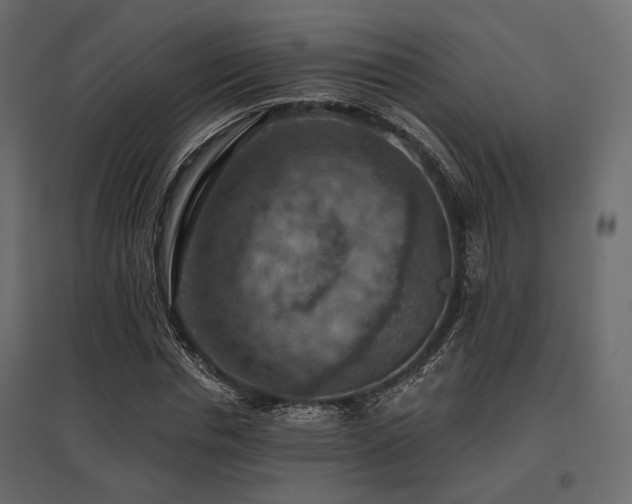 X0000097770826200803071315