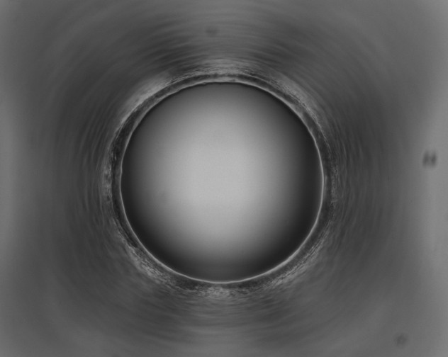 X0000097770827200803071315