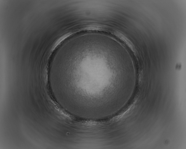X0000097770829200803071315