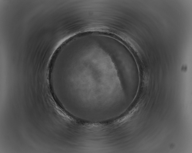 X0000097770830200803071315