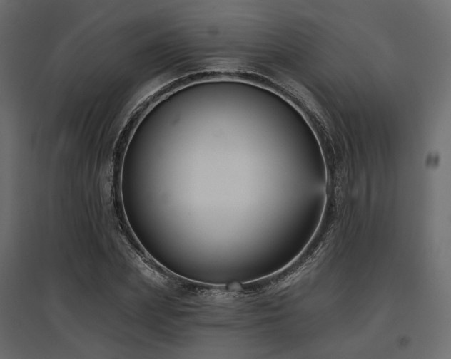 X0000097770831200803071315