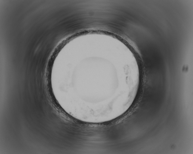 X0000097770832200803071315