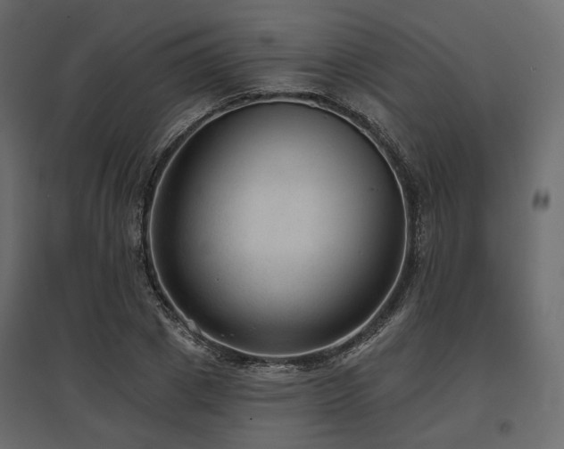 X0000097770833200803071315