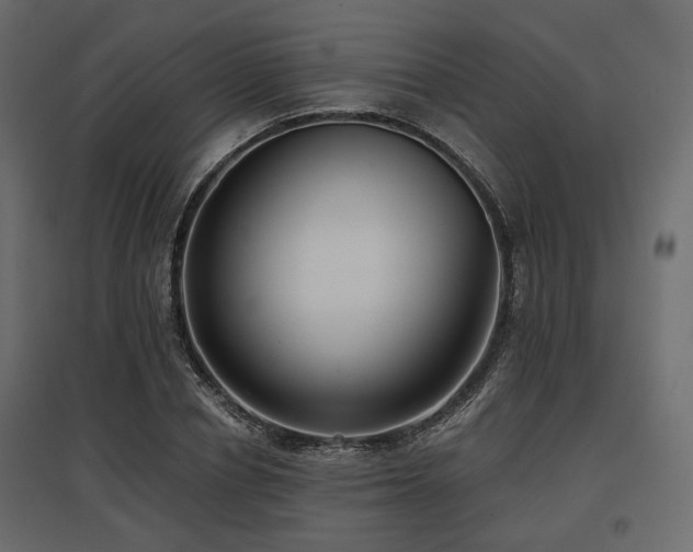 X0000097770834200803071315
